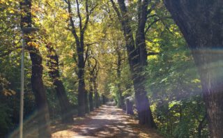 Warum der Steinkreis in Avebury mein Portal zur Mutterenergie ist